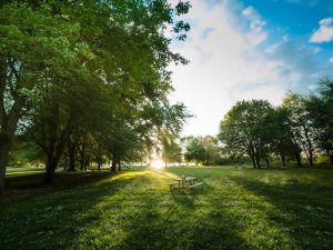 Ekowisata dan Hak Atas Tanah: Menjaga Alam dan Budaya Sekaligus