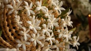 Jenis Bunga yang Paling Sering Digunakan dalam Tradisi Wisata Nusantara