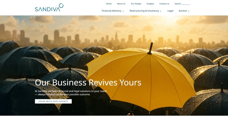 Peran financial advisory dalam manajemen risiko dan perencanaan keuangan jangka panjang perusahaan